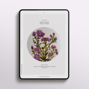 Aster Flowers: Botanical Series
