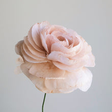 Load image into Gallery viewer, Wafer Paper Ranunculus (&#39;Ranunculus asiaticus&#39;) - Cake Topper
