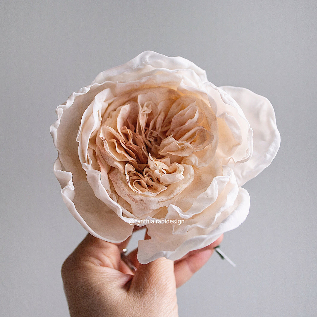 Sugar Flower Juliet Rose (Juliet David Austin Rose) - Cake Topper – Cynthia  Irani Design