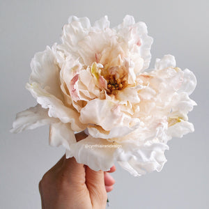 Sugar Flower Peony (Paeonia 'Krinkled White') - Cake Topper