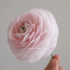 Ranunculus Wafer Paper Flower - Online Course